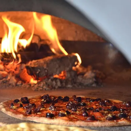 Karavan Na Samote U Lesa * Zamrsky